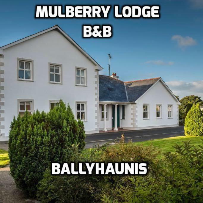 Mulberry Lodge Guest House バリーハウニス エクステリア 写真